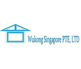 wu kong singapore pte ltd|WU KONG SINGAPORE PTE. LTD. detailed incorporation .